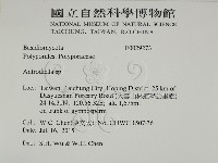 登錄號:F0029273藏品圖，第2張