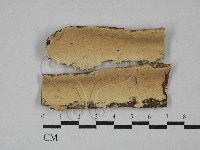 登錄號:F0029273藏品圖，第1張