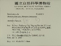 刺革菌屬藏品圖，第2張