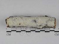 登錄號:F0029276藏品圖，第1張