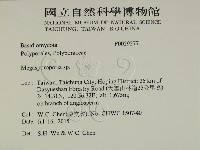 登錄號:F0029277藏品圖，第2張