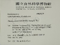 登錄號:F0029279藏品圖，第2張