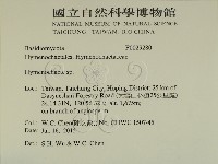 刺革菌屬藏品圖，第2張
