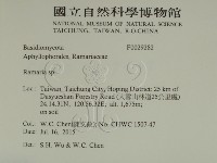 登錄號:F0029282藏品圖，第2張