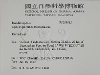 登錄號:F0029283藏品圖，第2張