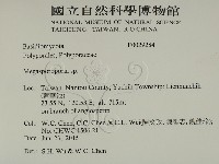 登錄號:F0029284藏品圖，第2張