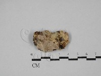 登錄號:F0029284藏品圖，第1張