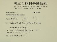 刺皮菌屬藏品圖，第2張