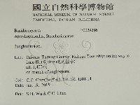 容氏菌屬藏品圖，第2張