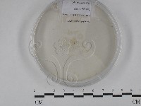 登錄號:F0029288藏品圖，第1張