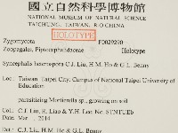 登錄號:F0029290藏品圖，第2張