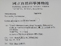 登錄號:F0029291藏品圖，第2張