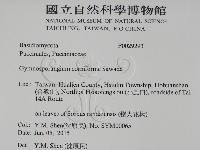 登錄號:F0029293藏品圖，第2張