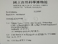 登錄號:F0029295藏品圖，第2張