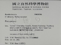 登錄號:F0029296藏品圖，第2張