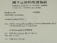 登錄號:F0029298藏品圖，第2張