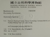 登錄號:F0029299藏品圖，第2張