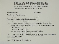 登錄號:F0029302藏品圖，第2張