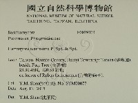 登錄號:F0029304藏品圖，第2張