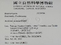 登錄號:F0029305藏品圖，第2張