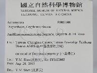 登錄號:F0029306藏品圖，第2張