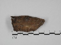 登錄號:F0029306藏品圖，第1張