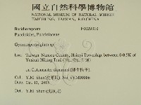 登錄號:F0029310藏品圖，第2張