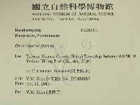 登錄號:F0029311藏品圖，第2張