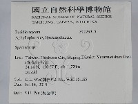 登錄號:F0029315藏品圖，第2張