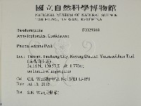 登錄號:F0029318藏品圖，第2張