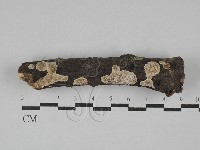 登錄號:F0029318藏品圖，第1張