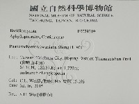 登錄號:F0029319藏品圖，第2張