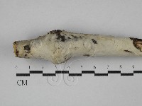 登錄號:F0029319藏品圖，第1張