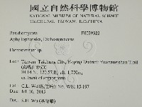 登錄號:F0029322藏品圖，第2張