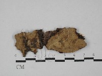 登錄號:F0029322藏品圖，第1張