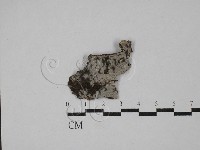 登錄號:F0029325藏品圖，第1張