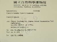 刺革菌屬藏品圖，第2張