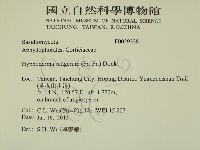 剛毛絲皮菌藏品圖，第2張