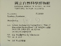 登錄號:F0029329藏品圖，第2張