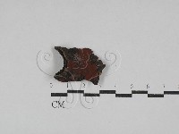 登錄號:F0029329藏品圖，第1張