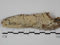 登錄號:F0029330藏品圖，第1張