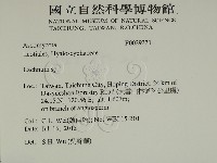 登錄號:F0029331藏品圖，第2張