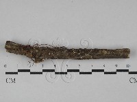 登錄號:F0029331藏品圖，第1張