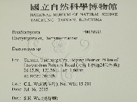 花耳屬藏品圖，第2張