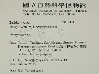 花耳屬藏品圖，第2張