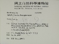 筍殼菌屬藏品圖，第2張
