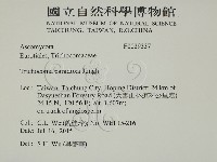 登錄號:F0029337藏品圖，第2張