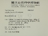傑克菌屬藏品圖，第2張