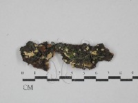 登錄號:F0029345藏品圖，第1張