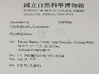 登錄號:F0029346藏品圖，第2張